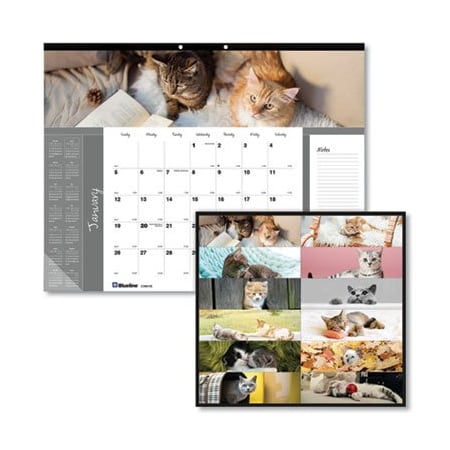 Rediform Blueline, PETS COLLECTION MONTHLY DESK PAD, 22 X 17, FURRY KITTENS, 2021 C194115